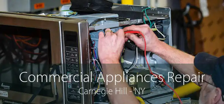 Commercial Appliances Repair Carnegie Hill - NY