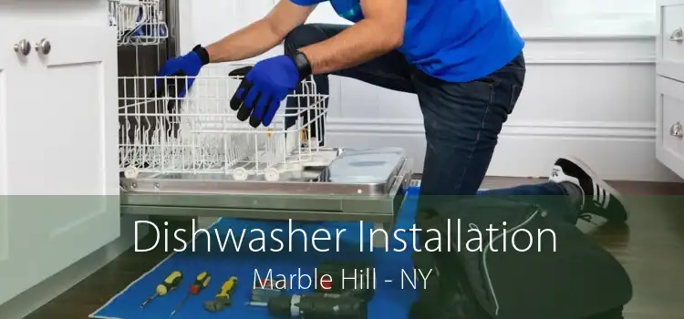 Dishwasher Installation Marble Hill - NY