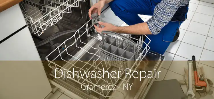 Dishwasher Repair Gramercy - NY