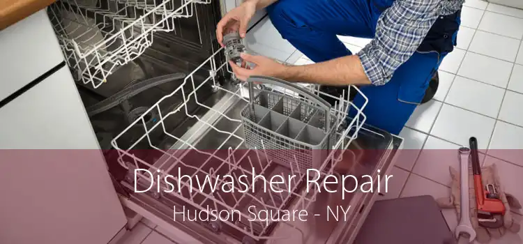 Dishwasher Repair Hudson Square - NY