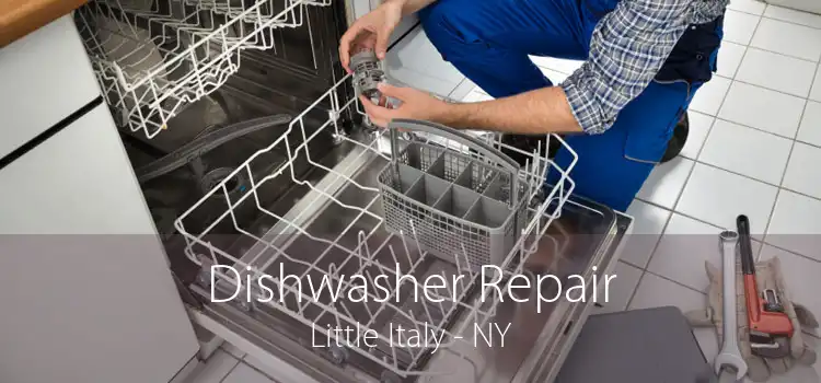 Dishwasher Repair Little Italy - NY