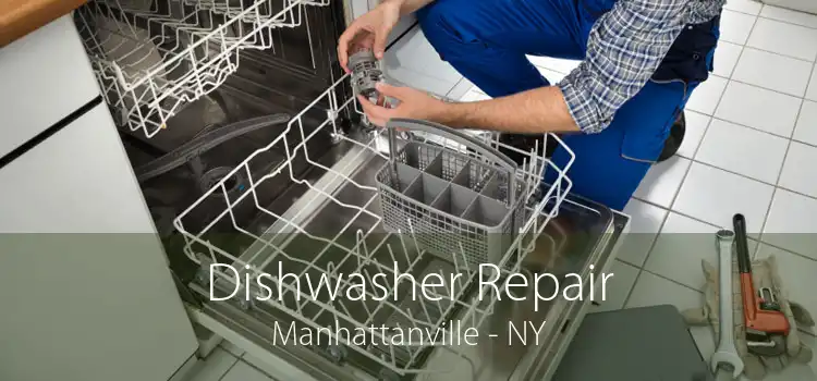 Dishwasher Repair Manhattanville - NY