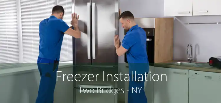 Freezer Installation Two Bridges - NY