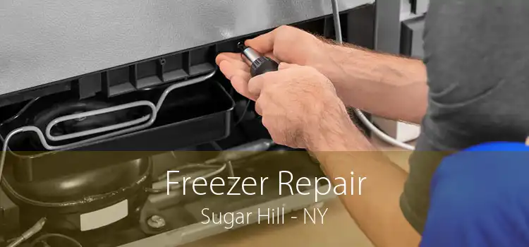 Freezer Repair Sugar Hill - NY