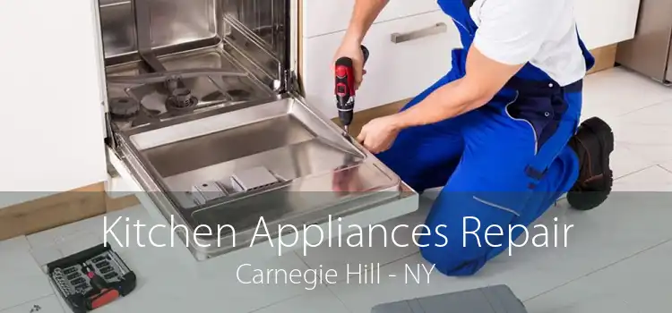 Kitchen Appliances Repair Carnegie Hill - NY