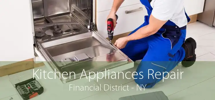 Kitchen Appliances Repair Financial District - NY