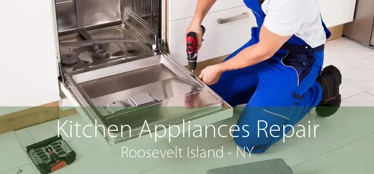 Kitchen Appliances Repair Roosevelt Island - NY