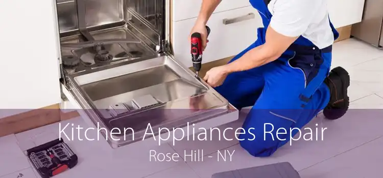 Kitchen Appliances Repair Rose Hill - NY