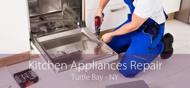 Kitchen Appliances Repair Turtle Bay - NY