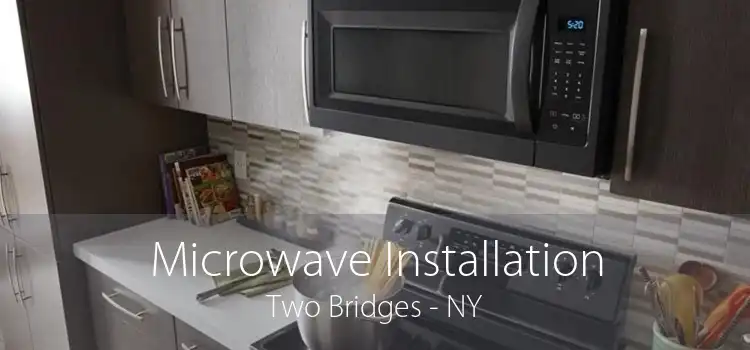 Microwave Installation Two Bridges - NY