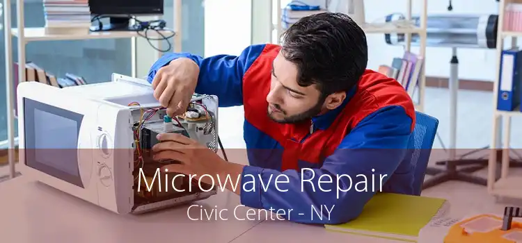 Microwave Repair Civic Center - NY