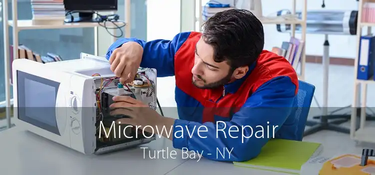 Microwave Repair Turtle Bay - NY