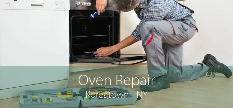 Oven Repair Koreatown - NY