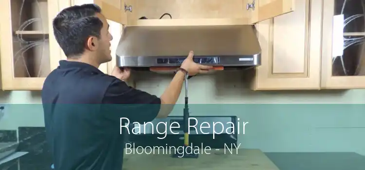 Range Repair Bloomingdale - NY