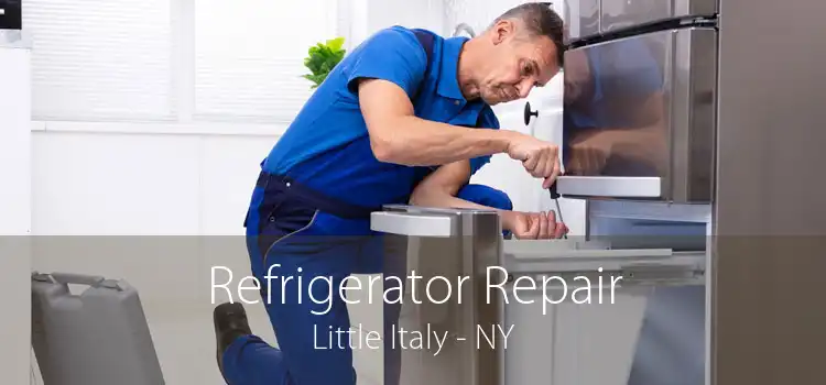 Refrigerator Repair Little Italy - NY