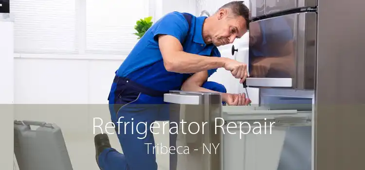 Refrigerator Repair Tribeca - NY