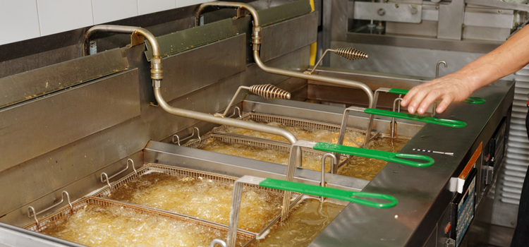 Ikea Commercial Fryer Repair in Manhattan, New York