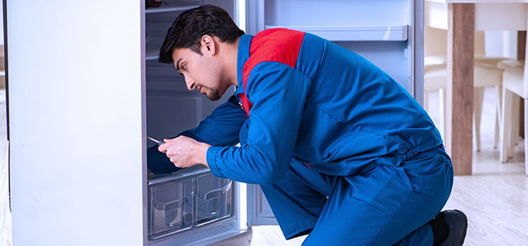 Ikea Freezer Repair Services in Manhattan, New York